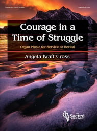Courage In A Time of Trouble cover art